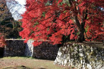 紅葉-高取城跡
