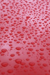 Red and Water Droplets