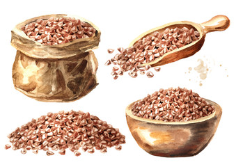 Buckwheat set. Hand drawn watercolor illustration  isolated on white background
