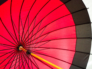 和傘　japanese umbrella 