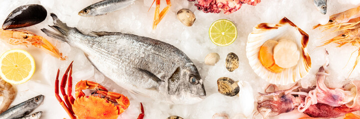Fish and seafood panorama on white. Sea bream, clams, scallops, etc, shot from the top on ice