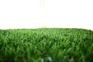 empty green grass turf floor artificial with white background