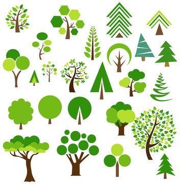 Set of trees vector illustration