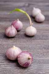 Bulbs raw garlic.