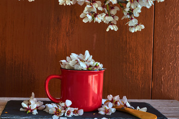 Red cup and wooden teaspoon, with almond flowers