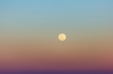 Fototapeta premium Moon