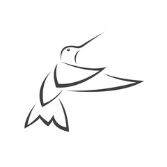 Vector image hummingbird design on white background. icon symbol. Illustrator. Black and White