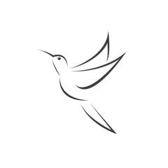 Vector image hummingbird design on white background. icon symbol. Illustrator. Black and White © ploygraphic