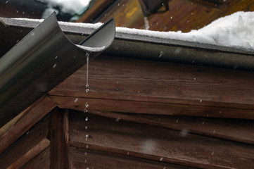 Icicles begin to melt with dripping drops.