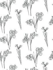 Irises flowers vector seamless background pattern hand drawn. Vector illustration. Textile design, wrapping paper.