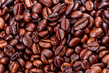 Grains of fresh roasted coffee close-up against a dark background