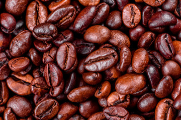 Grains of fresh roasted coffee close-up against a dark background