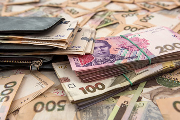 women's wallet money in cash Ukrainian hryvnia
