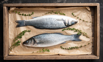 Raw whole seabass fish on the rustic background. Selective focus. Shallow depth of field.