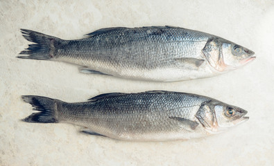 Raw whole seabass fish on the rustic background. Selective focus. Shallow depth of field.