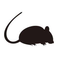 rat icon vector illustration symbol