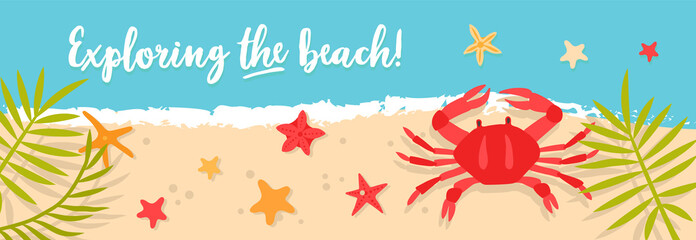 Vector sea or ocean horizontal banners with crab and starfish. Bright hand-drawn illustration with sea animals and mine space. The best summe , summer beach party. Crab, palms, starfish, sand © Leria Kaleria