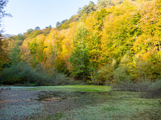 Autumn landscape in Yedigoller or Seven lakes National Park Bolu Turkey.