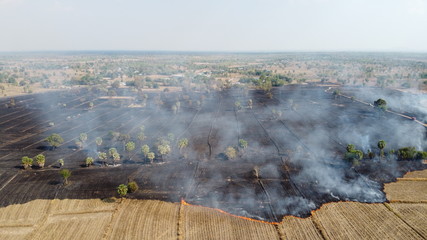 Fire burns stubble on the field. Fire in summer.