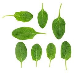 Spinach isolated on white background (close-up shot)
