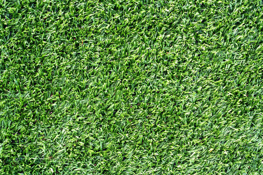 above shot of green grass or lawn of a play ground or field. Pattern and Textured concept.