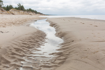 City Carnikava, Latvia. Walking place by the Baltic Sea with sand and trees.