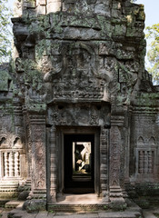 Fototapeta na wymiar Ta Prohm temple near Angkor Wat, Cambodia