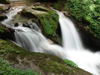 Fototapeta premium 山林の川流れ3