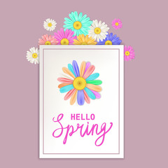 Hello Spring lettering template banner with fresh flowers bouquet multi colored daisies, chamomiles