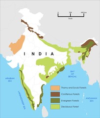 forest map of India