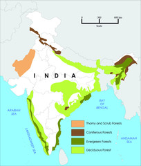 Forest map of India. India map vector illustration
