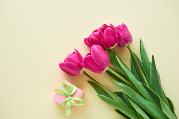 Bouquet of purple tulips with gift box on a light background