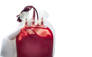 red blood bag on white background.