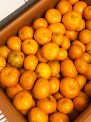 Jeju tangerines in box