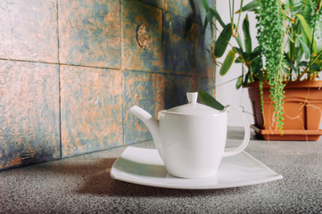 White clean porcelain teapot in the kitchen made of rough concrete materials and a home plant on the background.