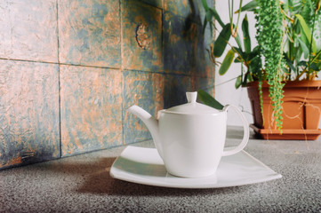 White clean porcelain teapot in the kitchen made of rough concrete materials and a home plant on the background.