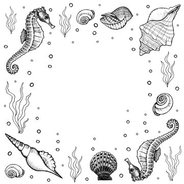 Frame with  seabed dwellers. Seahorse, shells and seaweed hand drawn doodle outline. Square template for social media, flyers, posters. Stock vector illustration isolated on transparent background.