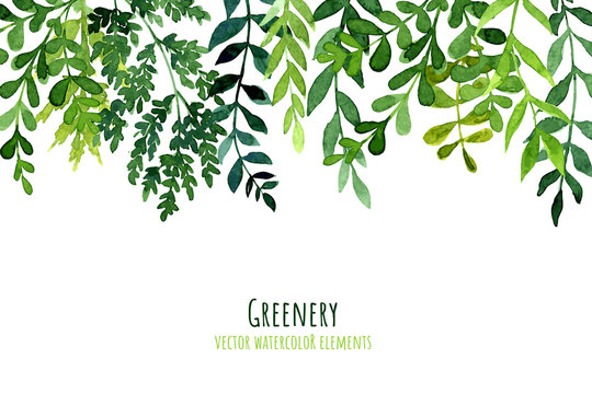 Greenery drop header, watercolor botanical background, leaves and branches