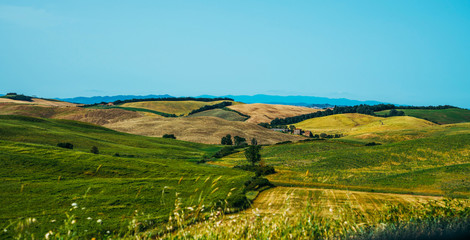 Fototapeta na wymiar Beautiful view in Tuscany, Italy. Rural landscape. Countryside hills and meadows, green and yellow fields and sky. Beautiful world.
