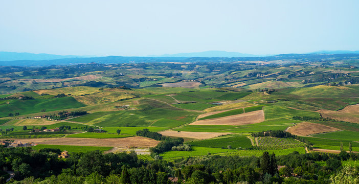 Traditional countryside and landscapes of beautiful Tuscany. Fields and vineyards. Holiday, traveling concept. Agro tour of Europe. Beautiful world. © eskstock