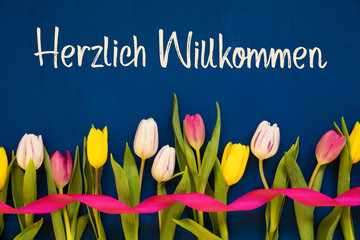 German Text Herzlich Willkommen Means Welcome. White And Pink Tulip Spring Flowers With Ribbon....
