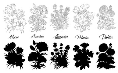 Set of black and white outline flowers - Crocus, Carnation, Lavender, Petunia, Dahlia.