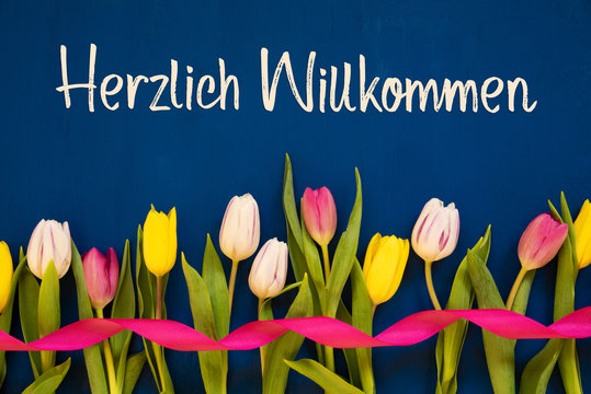 German Text Herzlich Willkommen Means Welcome. White And Pink Tulip Spring Flowers With Ribbon. Blue Wooden Background