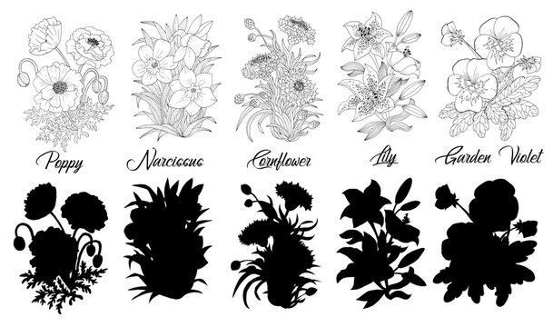 Set of black and white outline flowers - Poppy, Narcissus, Cornflower, Lily, Garden Violet.