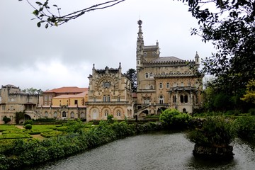 Obraz premium Mata Nacional do Buçaco Luso Portugal