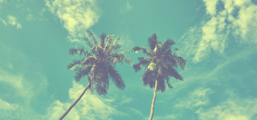 Looking up and see lush green palm fronds and bright blue sky, welcome on vacation! Palm trees at tropical coast against blue sky, vintage toned and stylized, coconut tree, summer tree, retro.