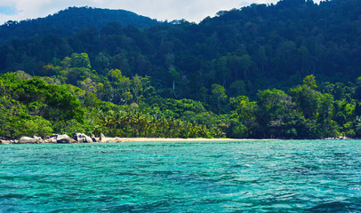 Landscape of the line of the rainforest, from the ocean. Tropical island in Indian Ocean. Uninhabited and wild subtropical isle with palm trees. Blank sand on a tropical island.
