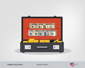 Dollar banknotes set. Suitcase staffed by dollar banknotes and coins. Leather suitcase with cash. lat vector illustration on the topic of finance.