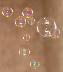 Beautiful soap bubbles fly