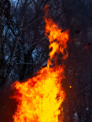 Flame of fire from a burning house as an abstract background